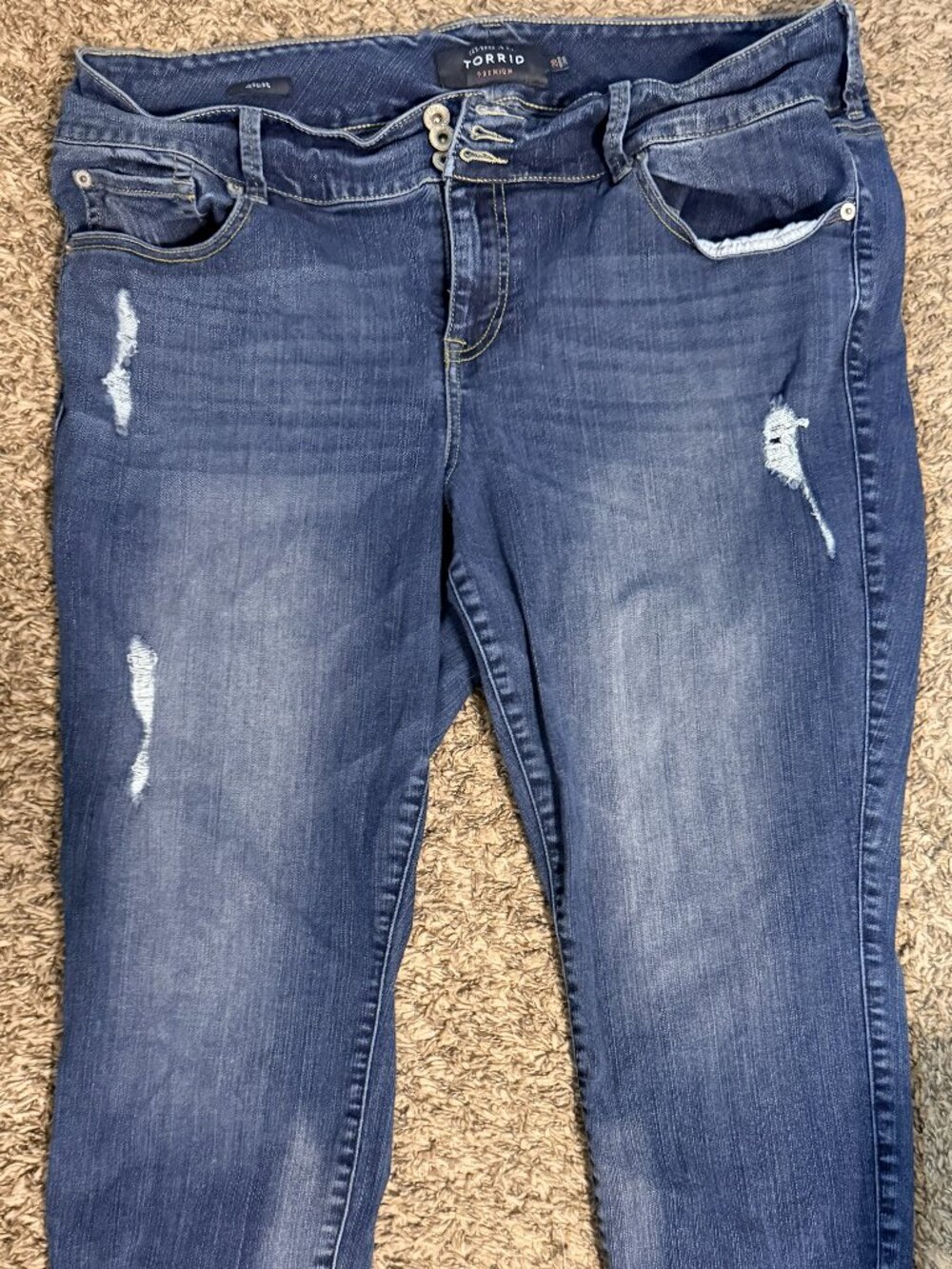 Torrid Jeggings